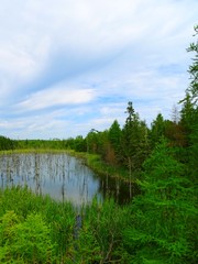 North America, Canada, Province of Nova Scotia, Cape Breton, Bras d'Or Lake