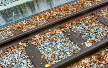 Railways with autumn foliage