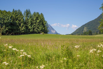 Fototapeta na wymiar Salzkammergut - Traumregion in den Alpen