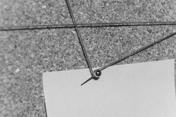 Monochrome thread pins hold paper on board, soft focus