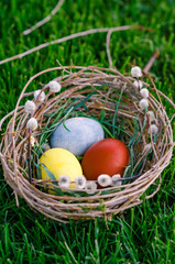 Easter eggs in the nest with willow branches. Easter eggs on green grass.