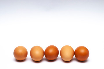 5 eggs lined up in a white background