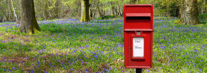 Red British post Box in spring woodland