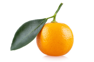 Fresh mandarin orange