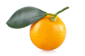 Fresh mandarin orange