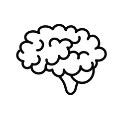  brain icon on white background