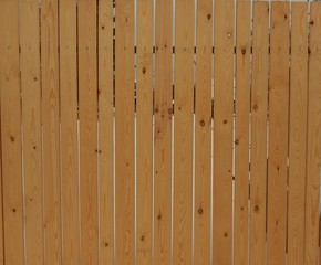 wooden fence of narrow planks of freshly processed solid pine