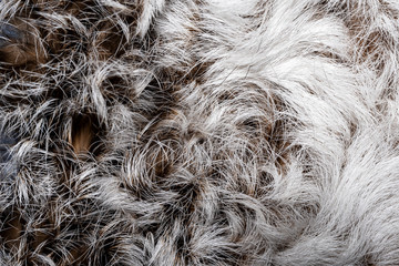 Fragment of a product from natural animal fur. Close-up.