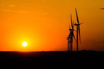 Obraz premium power lines at sunset