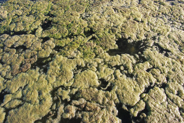 Lake Mud, filmed at sunset.