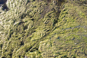 Lake Mud, filmed at sunset.