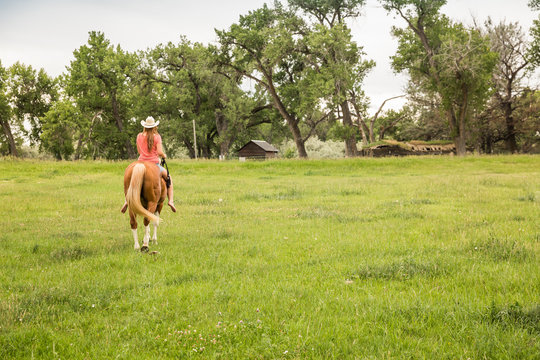 Western girl leading and riding horse bareback in pasture. Bridger, Montana, USA