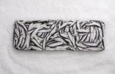 Close-up of sprat brick on the ice in fish market. Winter fishing. Frozen small silver fish. Pieces...