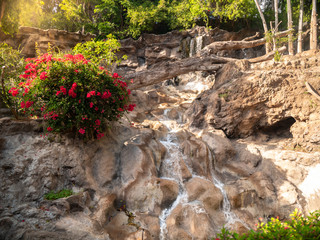 Beautiful image of small decorative waterfall flowing from mountain overgrown with flowers and plants