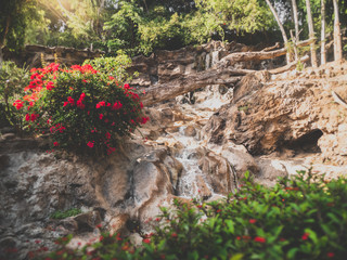 Toned image of stream flowing in waterfall on high cliff at tropical forest