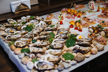 Fresh Oysters on served table.