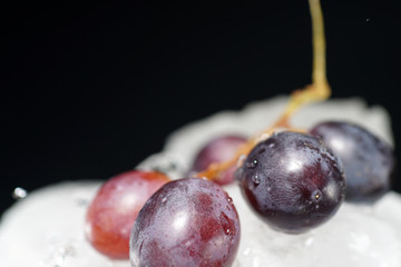 Bunches of grapes in ice water with colorful flashes photographed in studio