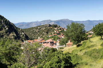 Fototapeta na wymiar View of the village Stemnitsa in the mountains on a sunny day (district Arcadia, Peloponnese, Greece).