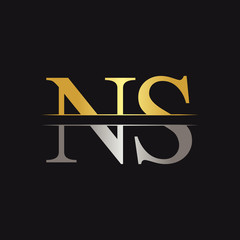 Initial Monogram Letter NS Logo Design Vector Template. NS Letter Logo Design