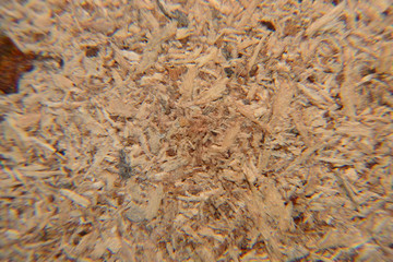 texture of board