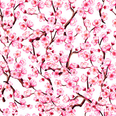 Watercolor floral sakura seamless pattern. Spring cherry blossom background, isolated on white.