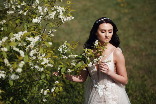 Bride In A Flowering Spring Garden