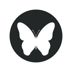 Butterfly graphic icon. Butterfly sign in the circle  isolated on white background. Vector illustration