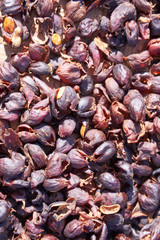 Raw coffee beans natural exposured with sunlight on a sieve outside the procedure factory before roasting process, close up, real life, lifestyle.