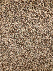 Texture of stones. Texture decorative plaster. Abstract background gray texture