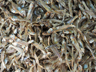 Dried Silver rasbora, Yellowtail rasboral by the sun at local market Thailand.