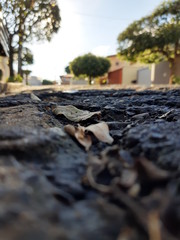 cross on grave