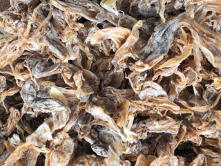 Full frame of dried squids.abstract,pattern,background.