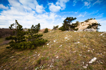 Fototapeta na wymiar Outdoor photo, meadow with green grass strewn large stones and boulders, sky with gray clouds and trees in background