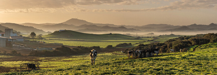 agricultura tradicional