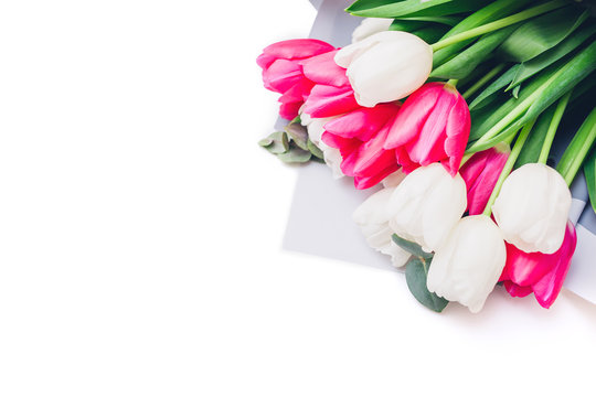 Spring flowers isolated on white background. Women's day. Bouquet of white and ping tulips. Present for Mother's day.