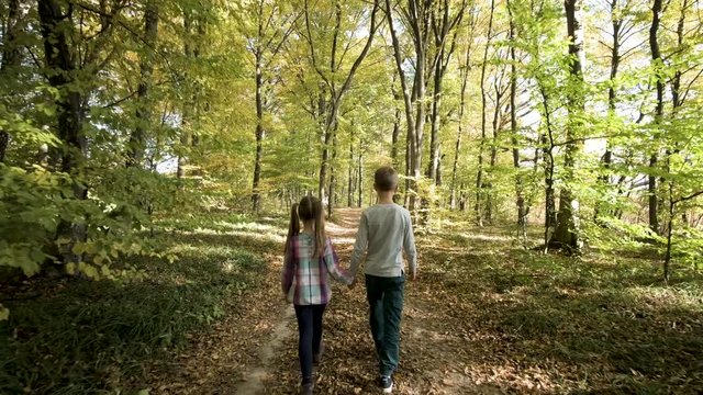 Two children walking holding hands in autumn forest with bright orange and yellow leaves. Dense woods in sunny fall weather.
