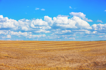 Mowed wheat field against a beautiful sky