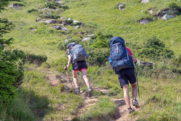Fototapeta na wymiar Tourists with hiking backpacks walk along a mountain trail. Background illustrating a healthy lifestyle.