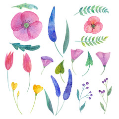 Twenty one watercolor floral elements for your compositions. T-shirts, dresses, cover, textile, linen and etc