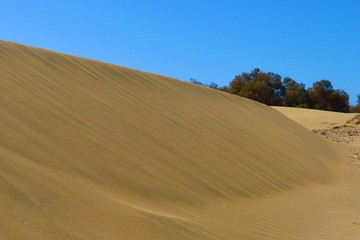 Dunes