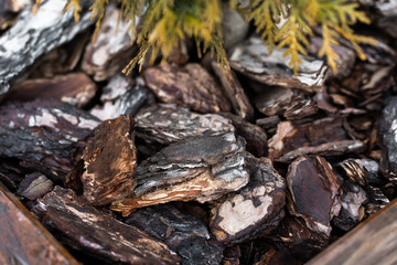 Natural full frame background on angled view of red and brown pieces of tree bark wood chip mulch for gardening or natural themes. Wood chips for landscaping in the gardens. Ecological background.