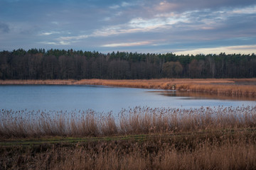 Fototapeta premium Pond in Zalesie Gorne near Piaseczno, Poland