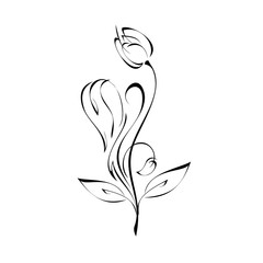 ornament 1034. one stylized flower Bud on a curved stem with leaves and curls in black lines on a white background
