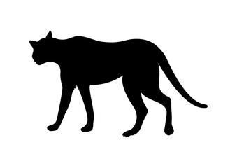 Cheetah black silhouette icon vector isolated on a white background. Walking feline beast silhouette vector illustration