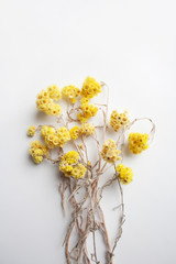 Dried yellow flowers bouquet isolated on white background from a high angle view