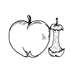 Apple hand drawn illustration vector