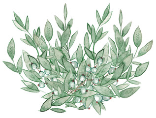 watercolor greenery leaf foliage branches with blue berries natural