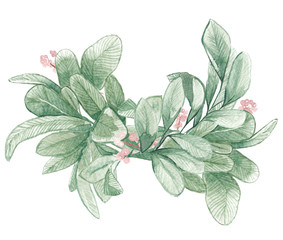 watercolor greenery leaf foliage branches with pink berries natural