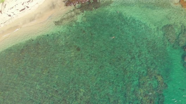 Epic aerial of shallow reef at the shoreline while a girl swims at Arnos Vale Beach in Castara, Tobago