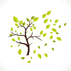 Green Tree with leaves develop in the wind. Ecology Design Background Illustration